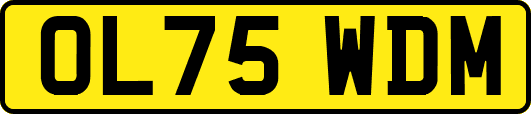 OL75WDM