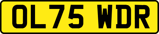 OL75WDR