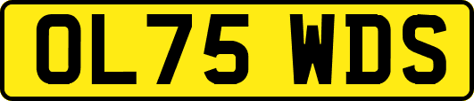 OL75WDS