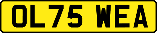 OL75WEA