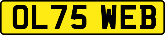 OL75WEB