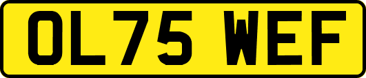 OL75WEF