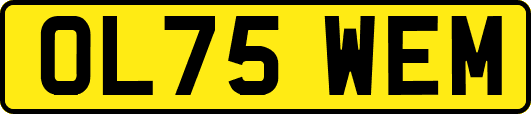 OL75WEM