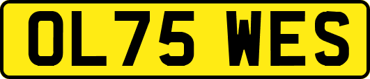 OL75WES