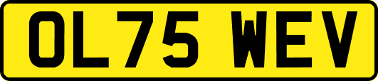 OL75WEV