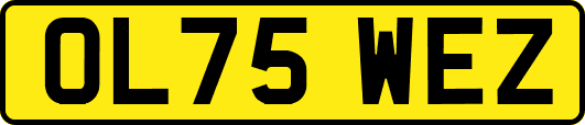 OL75WEZ