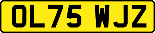 OL75WJZ