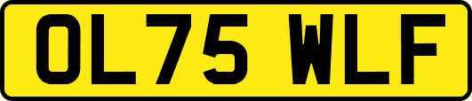 OL75WLF