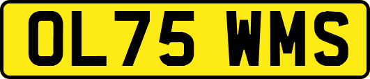 OL75WMS