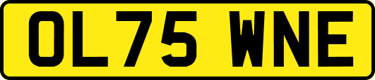 OL75WNE
