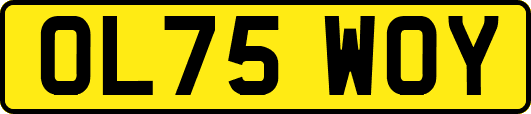 OL75WOY