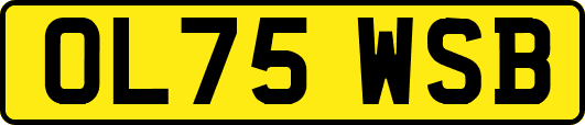 OL75WSB