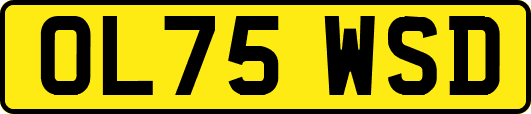OL75WSD