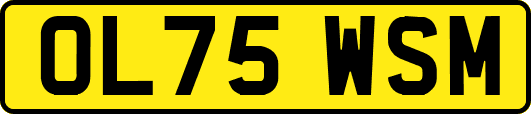 OL75WSM