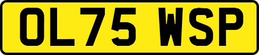 OL75WSP