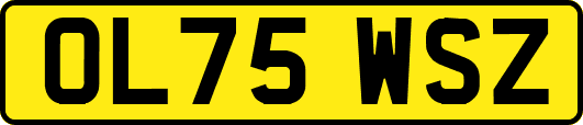 OL75WSZ