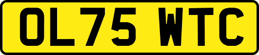 OL75WTC