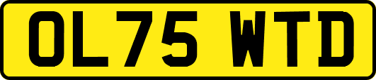 OL75WTD