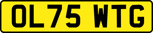 OL75WTG
