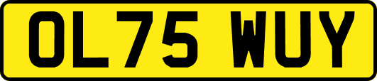 OL75WUY