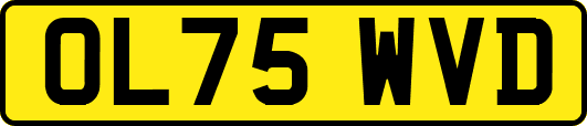 OL75WVD