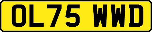 OL75WWD