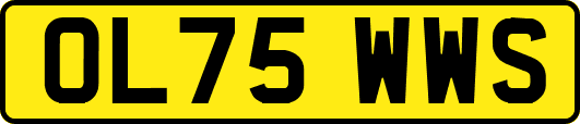 OL75WWS
