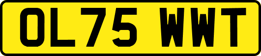 OL75WWT