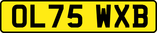 OL75WXB