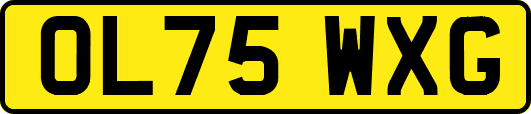 OL75WXG