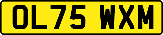 OL75WXM