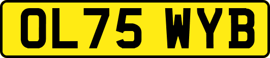 OL75WYB