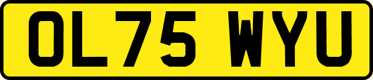 OL75WYU