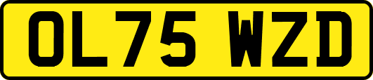 OL75WZD