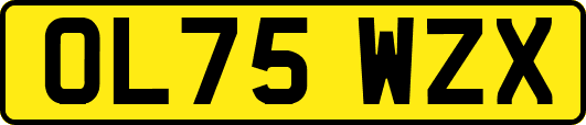 OL75WZX