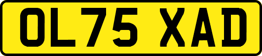 OL75XAD