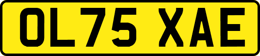 OL75XAE