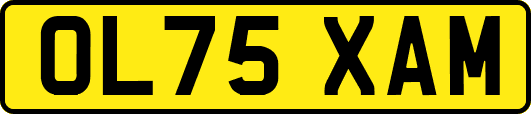OL75XAM