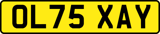 OL75XAY