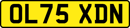 OL75XDN