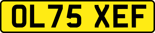 OL75XEF