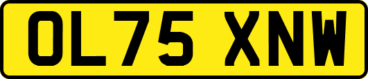 OL75XNW