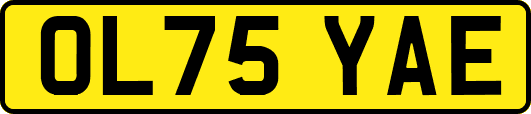 OL75YAE