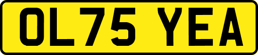 OL75YEA