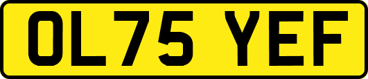 OL75YEF