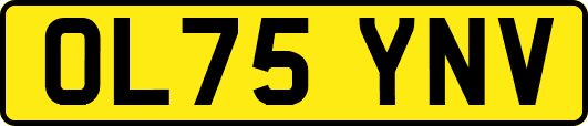 OL75YNV
