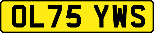 OL75YWS