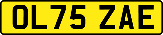 OL75ZAE