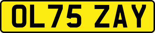 OL75ZAY