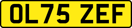 OL75ZEF